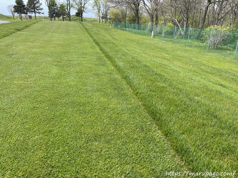 ショットの際の芝の抵抗感は格別で、整備レベルの高さは他のパークゴルフ場とは一線を画す