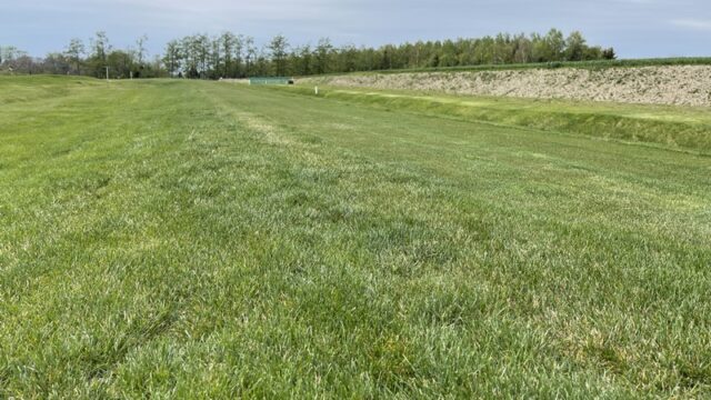 北長沼水郷公園パークゴルフ場、芝の密度が濃いが故にコース全体がかなり重たく、フェアウェイ、ラフ、グリーンいずれも通常感覚で打ち込むと確実にショートを引き起こします。